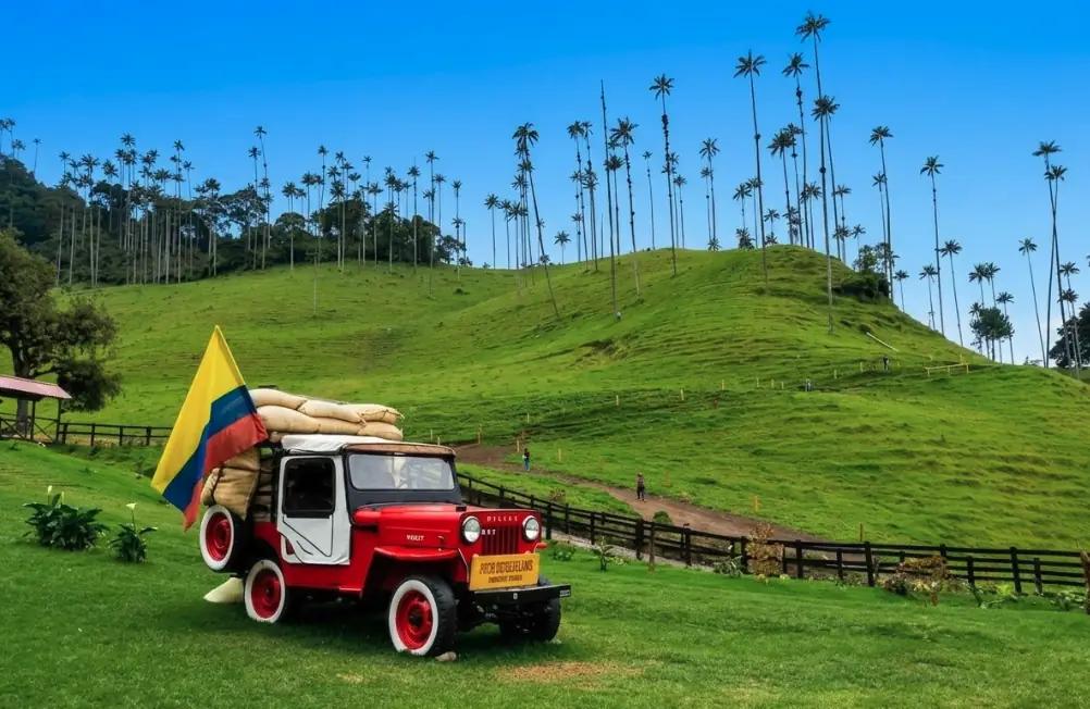 Salento y el Valle de Cocora: Guía Maestra al Corazón de los Gigantes de Cera