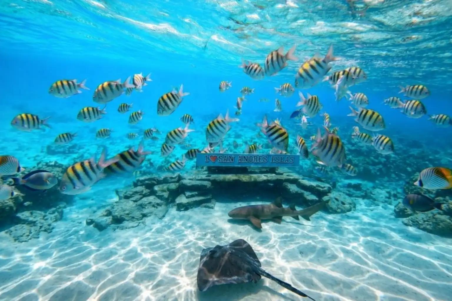 San Andrés y Providencia: Guía de Inmersión en el Mar de los Siete Colores (2026)
